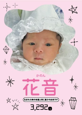 デザインNo.13