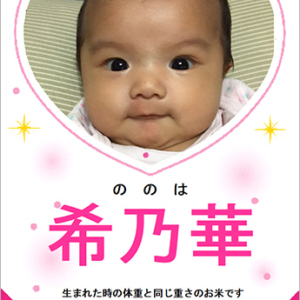 デザインNo.20